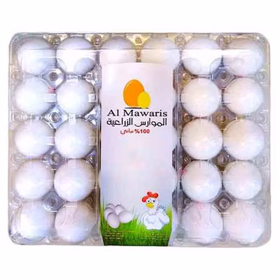 الموارس بيض كبير جدا عبوة بلاستيك 30 حبة product thumbnail 3