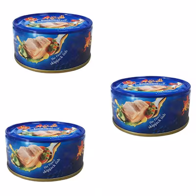 الصياد لحم تونة بالزيت النباتي 160 غرام 3 حبات product thumbnail 3