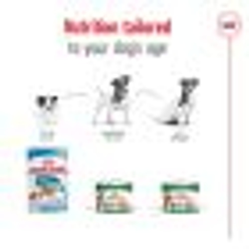 طعام رطب لوف للكلاب الصغيرة،من ROYAL product thumbnail 5