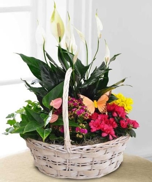 Mini Jungle Basket product thumbnail 4