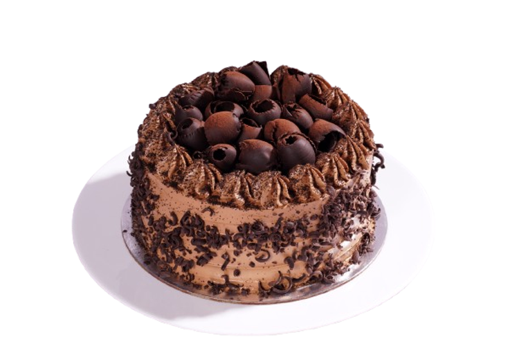 Chocolate Fudge Cake