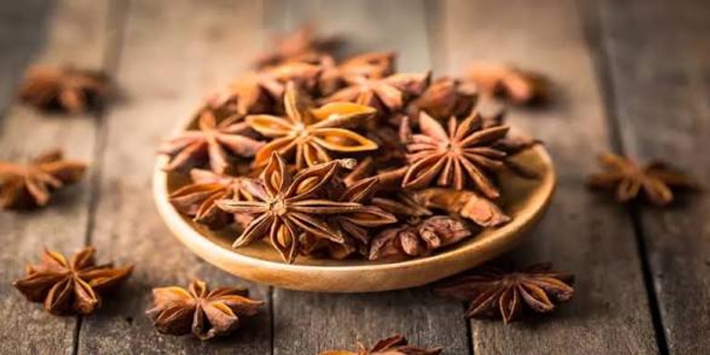 يانسون النجمه