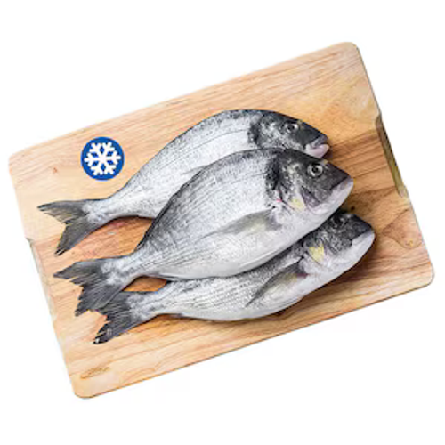 Mediterranean Sea Bream