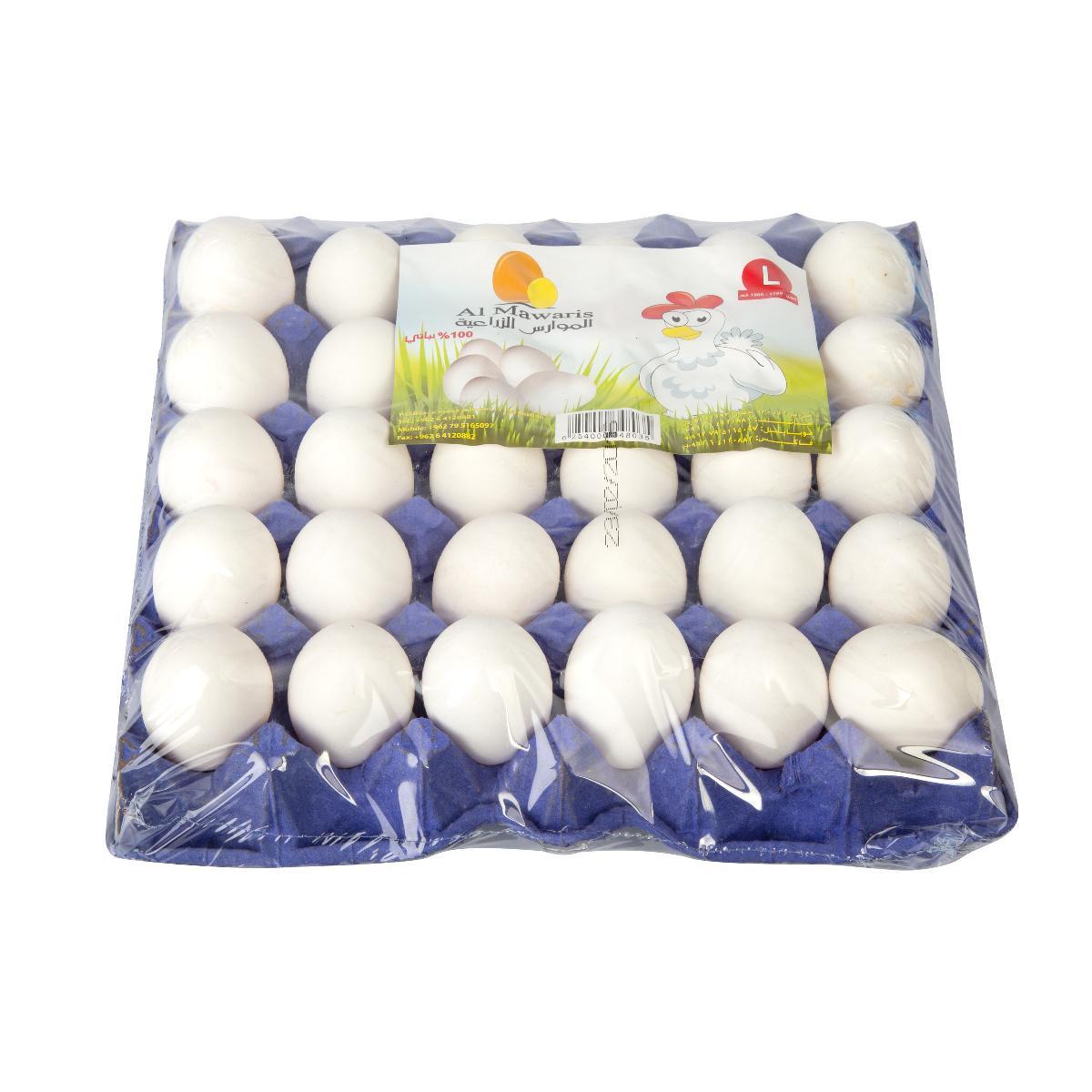 Al Mawaris (Large) Eggs 1850-1900 g 30 Eggs