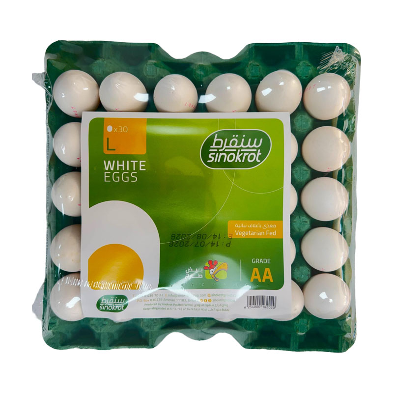 Sinokrot Fresh Large Grade AA Eggs Carton Pack 30 pcs