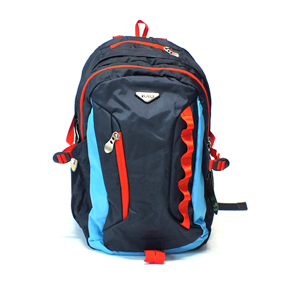 Roco Nylon Blue Backpack