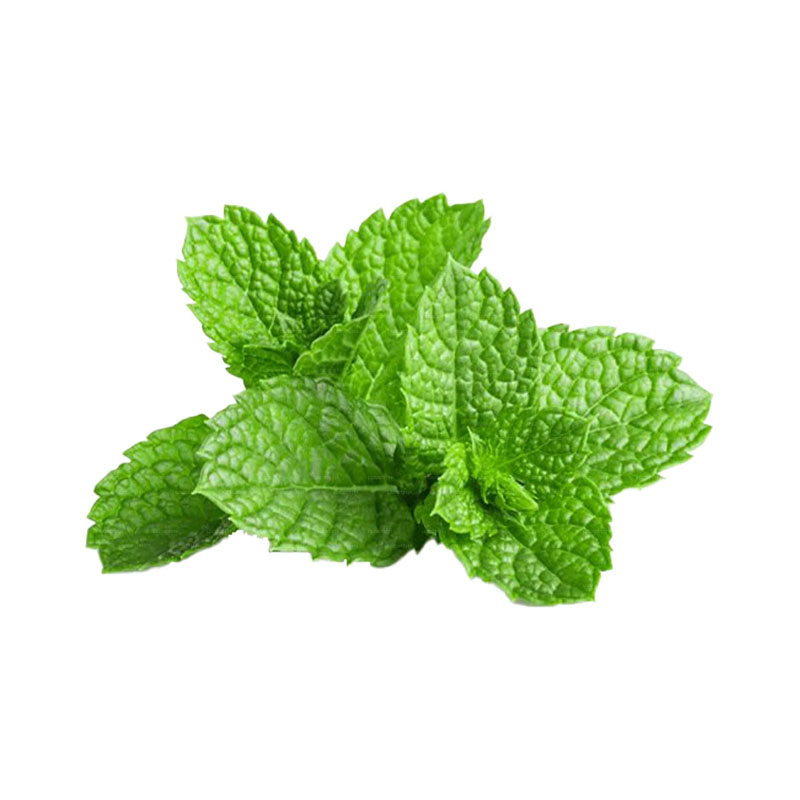 Hypo Farm Mint 50g