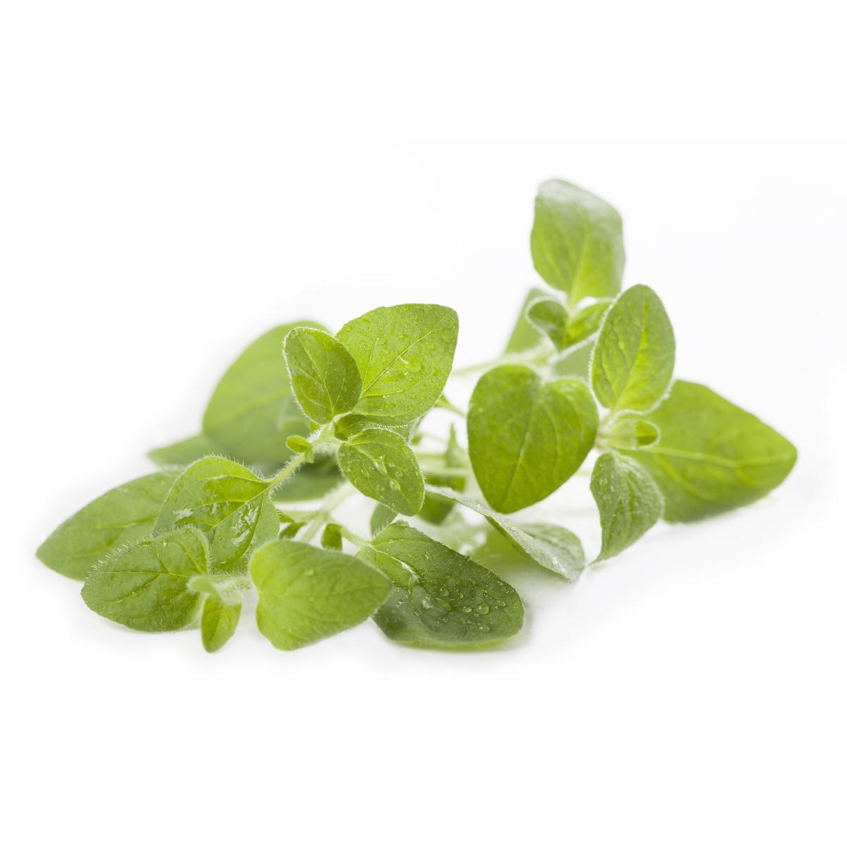 Al Kamal Green Oregano 160-170g