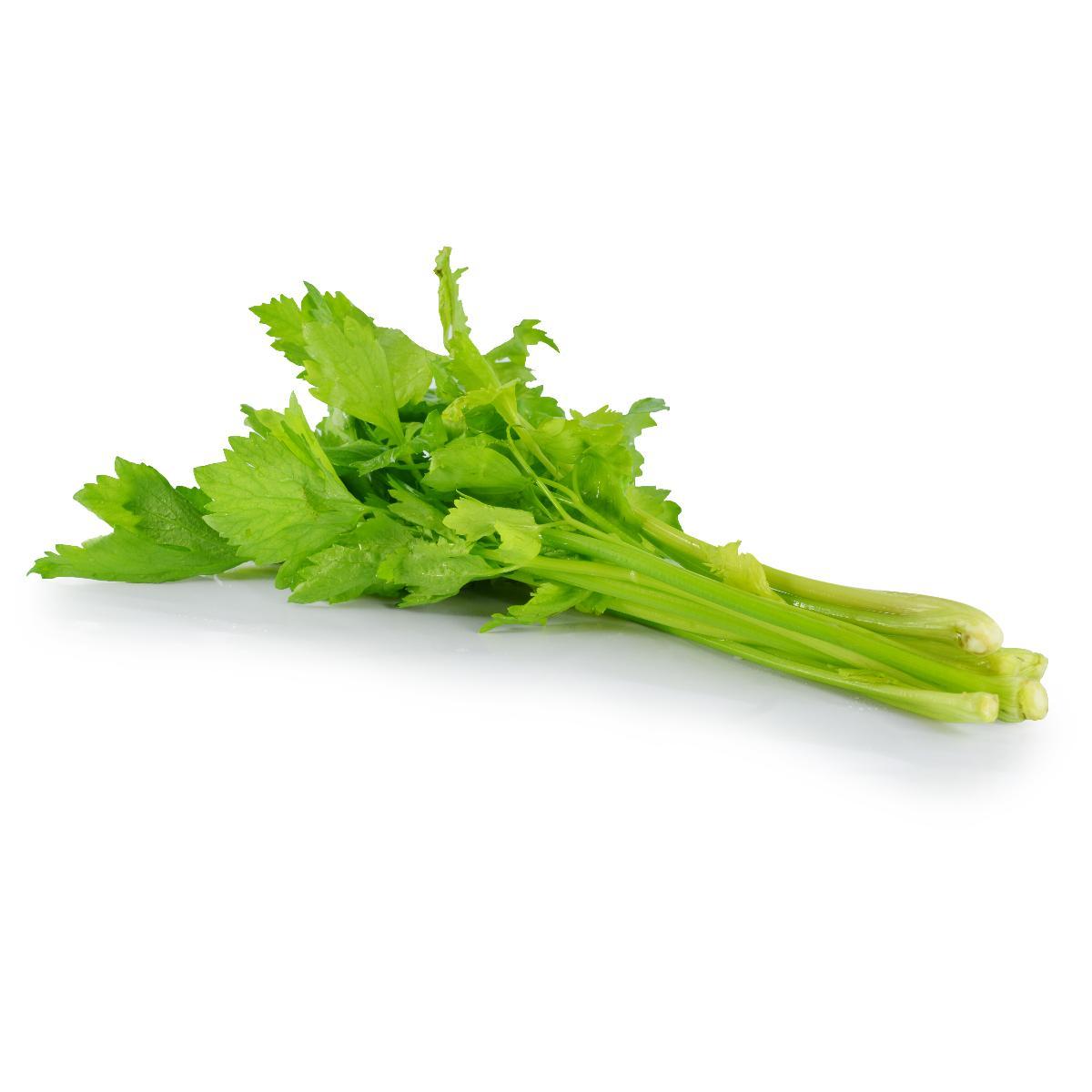 Celery Sticks