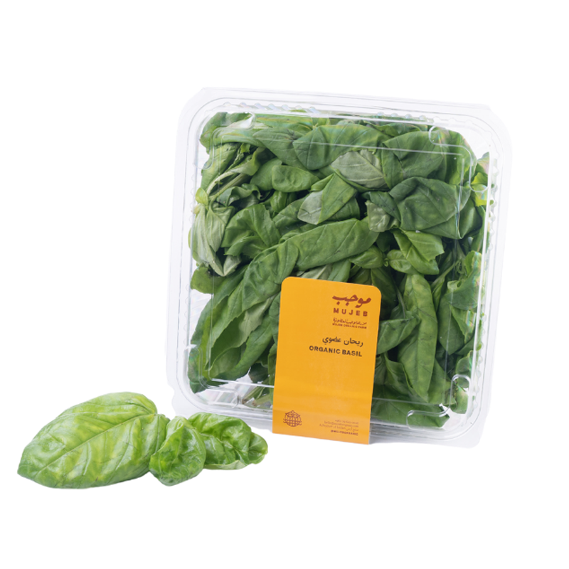 Mujeb Organic Basil 200g