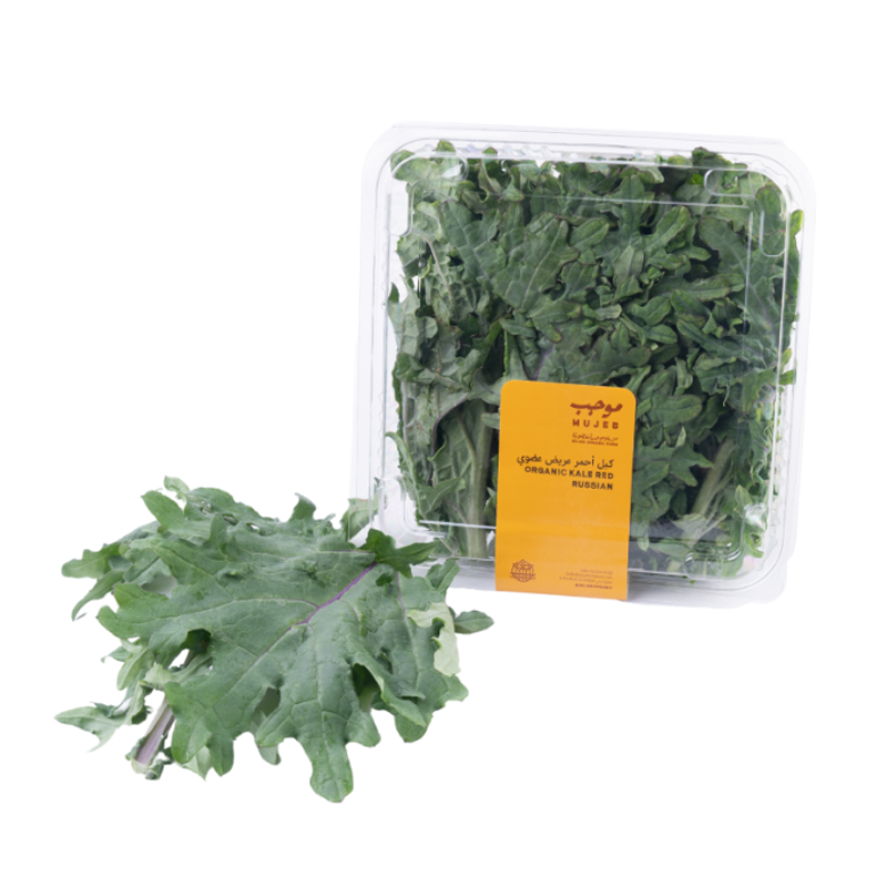 Mujeb Red Russian Organic Kale 200g
