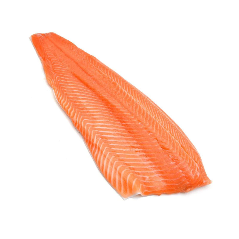Salmon Fillet Norway