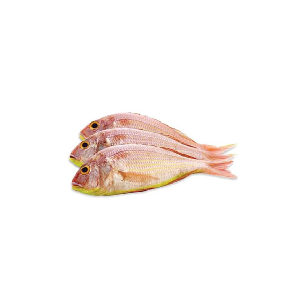 Sultan Ibrahim Barboni Fish