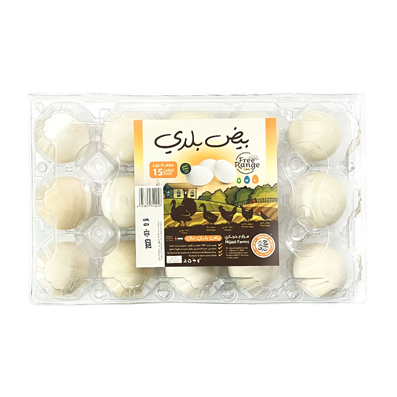 Hijazi Free Range Large Eggs 15pcs