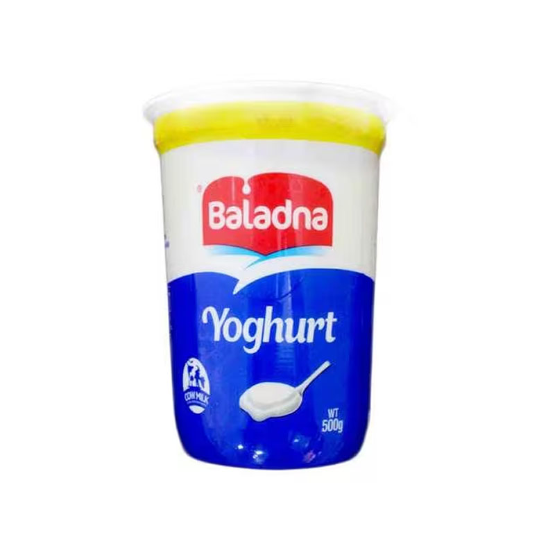 Baladna Fresh Yogurt 500g