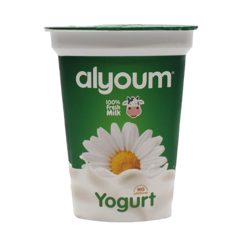 Alyoum Yogurt 500g