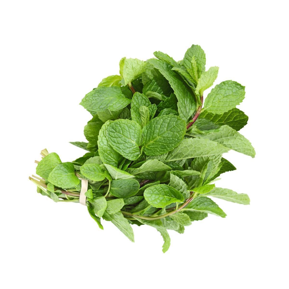 Mint