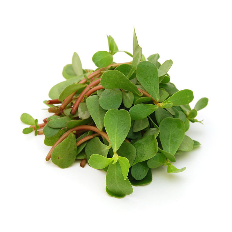 Purslane (Bakleh)