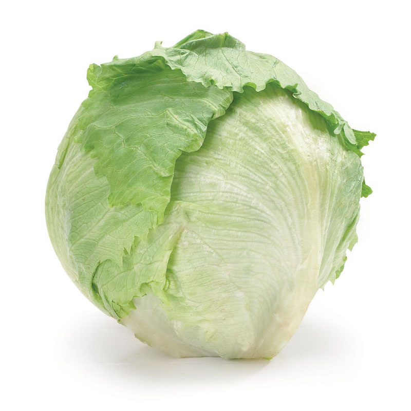 Aswar AlHadiqa Iceberg Lettuce