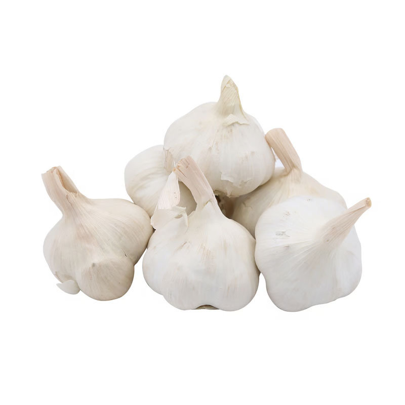 Mujeb Organic Garlic ~ 250g