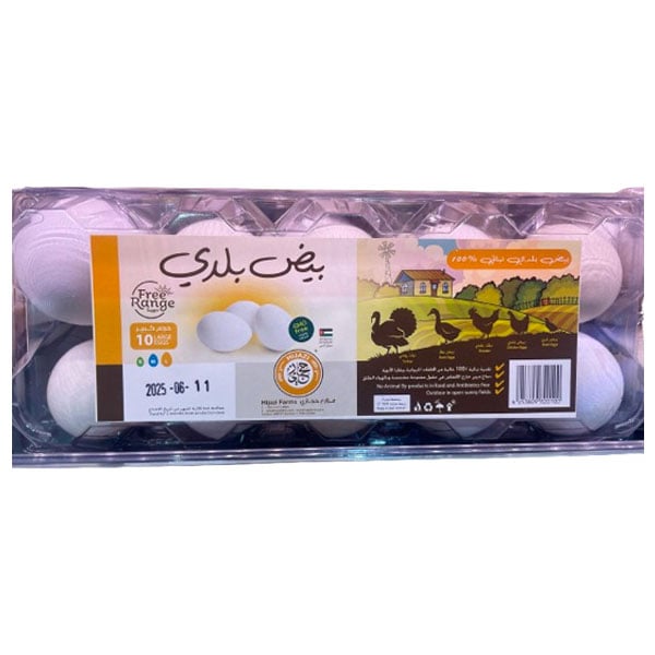 Hijazi Free Range Eggs 10pcs