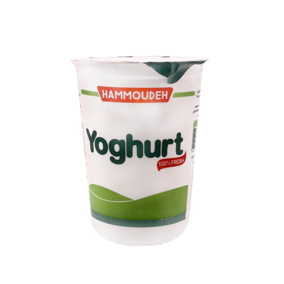 Hammoudeh Yogurt 500g